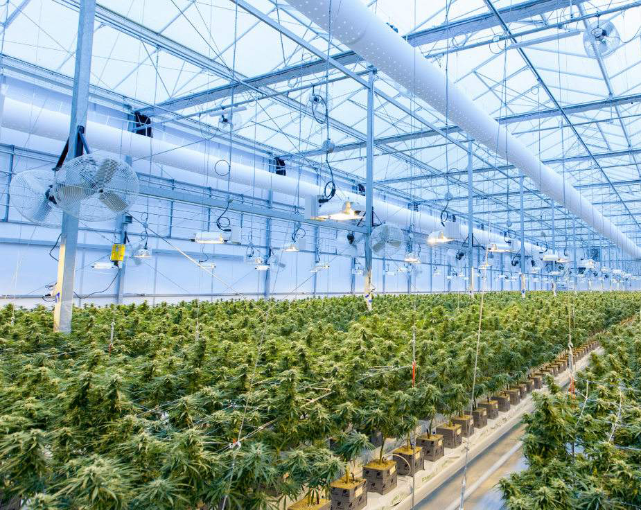 农业物联网云服务平台的智能化数字化一体化