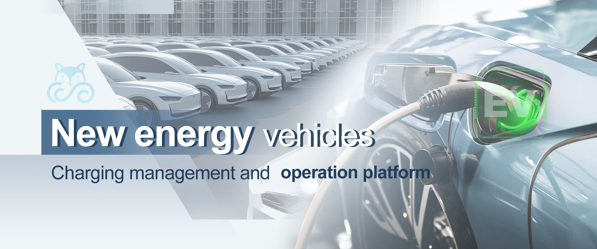 Electric Vehicle Charging Management and Operations Platform for New Energy Vehicles