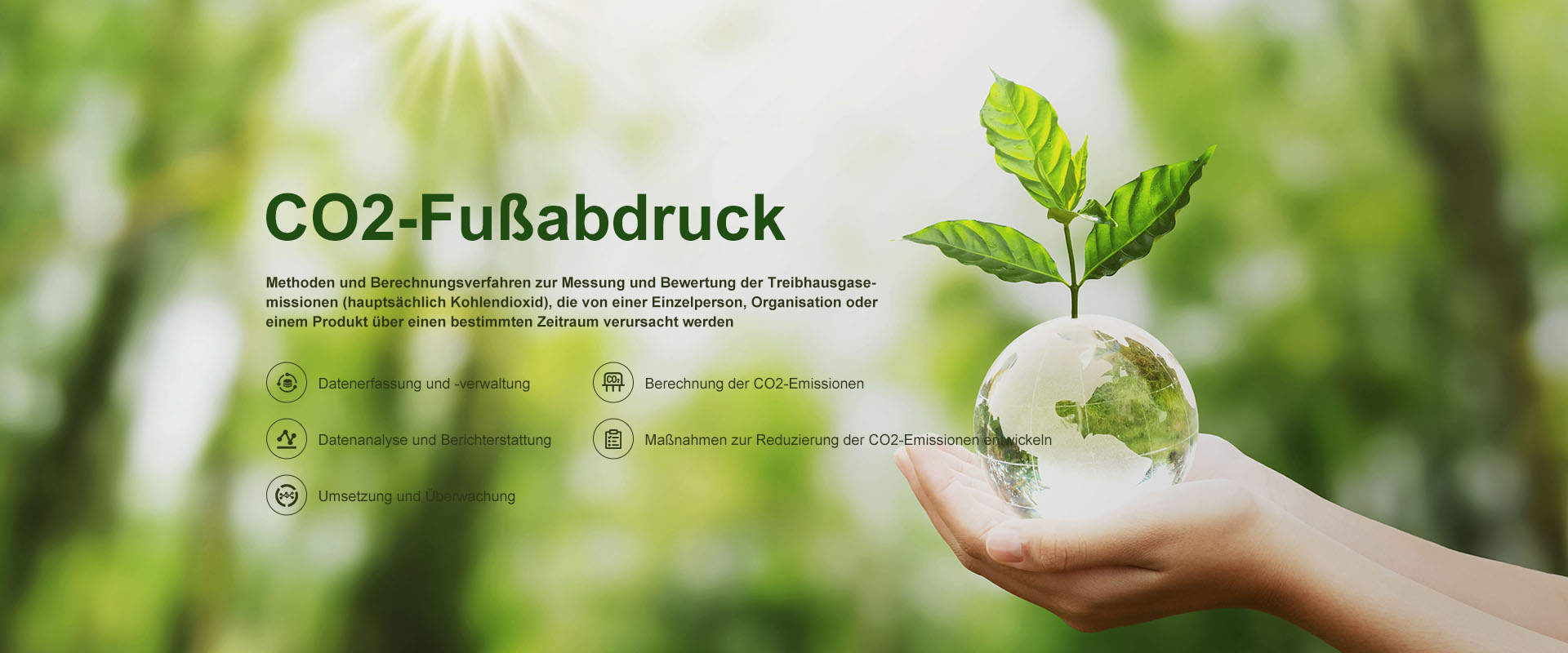 CO2-Fußabdruck-Management-Plattform