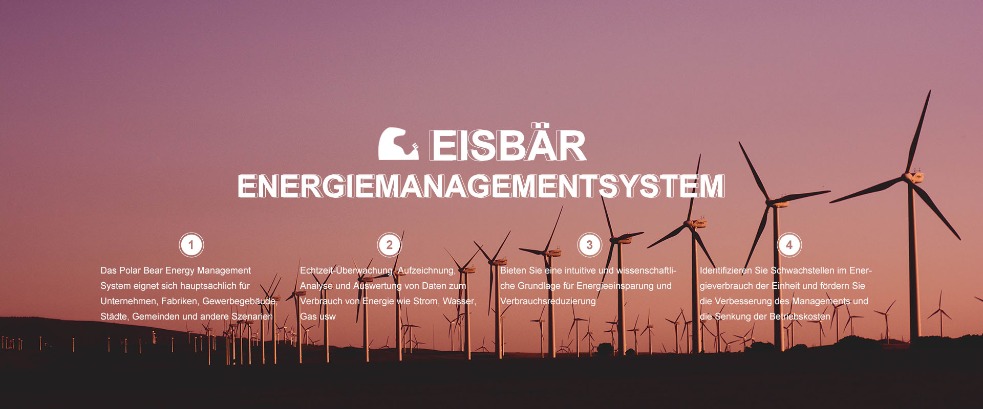 Energiemanagementsystem für Eisbären