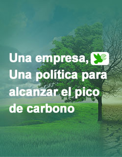 Sistema de picos de carbono de Canary Enterprise