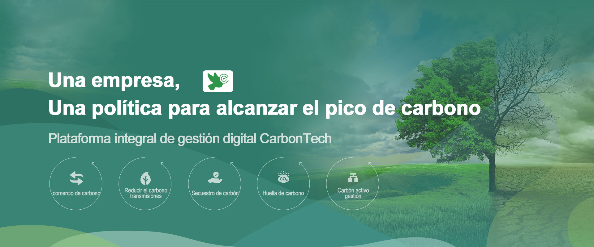 Sistema de picos de carbono de Canary Enterprise