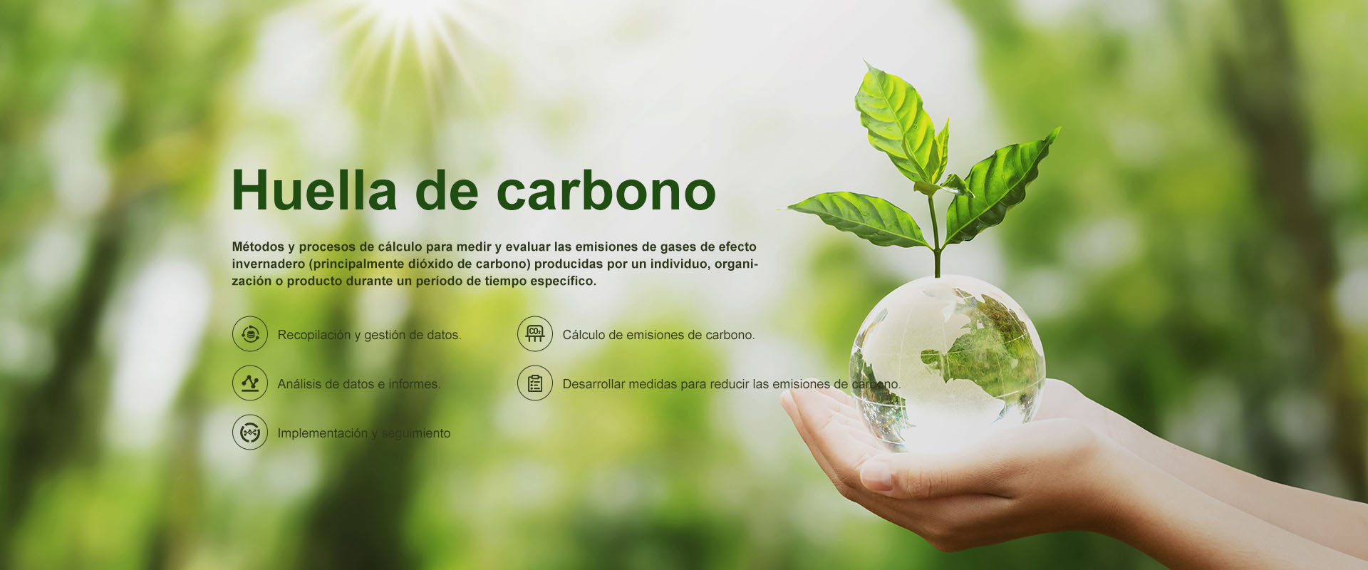 Plataforma de gestión de huella de carbono