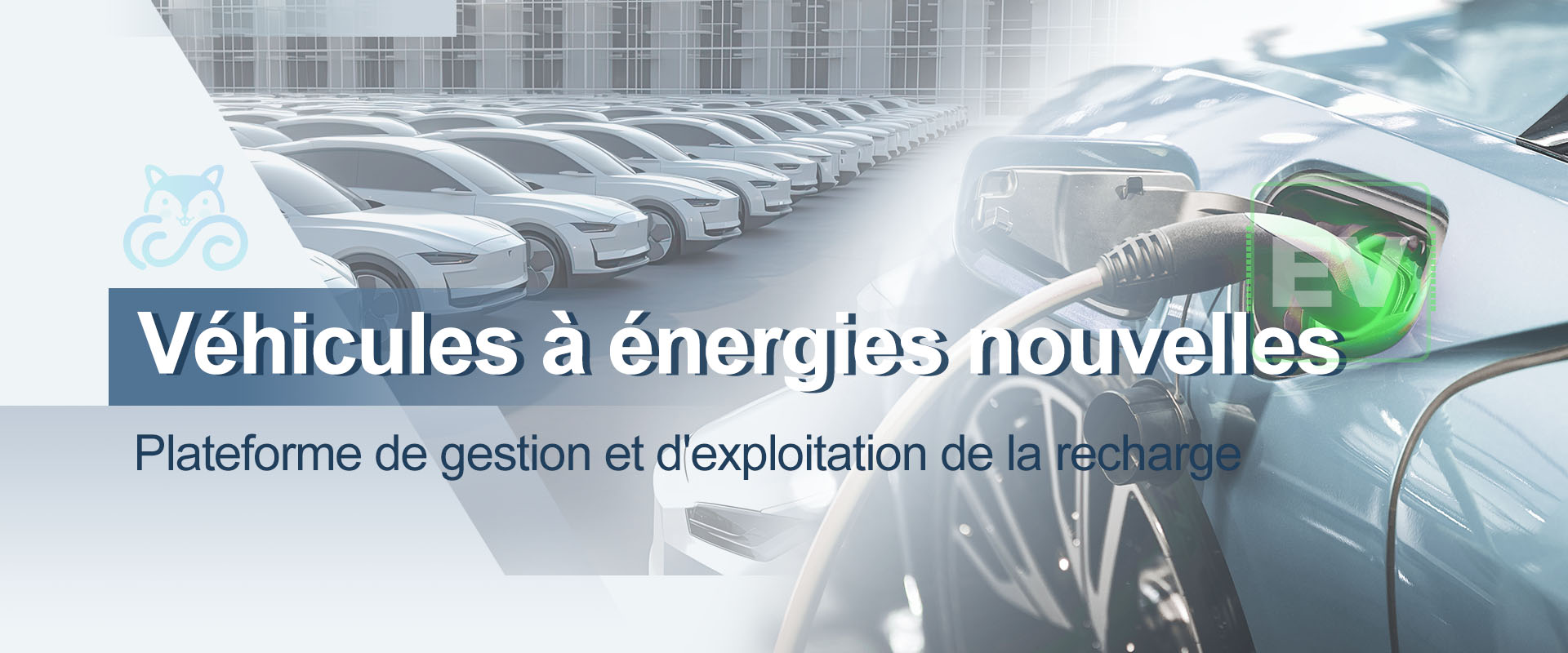 Plateforme de gestion et d'exploitation de la recharge des véhicules à énergie nouvelle