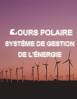 Système de gestion de l'énergie de l'ours polaire