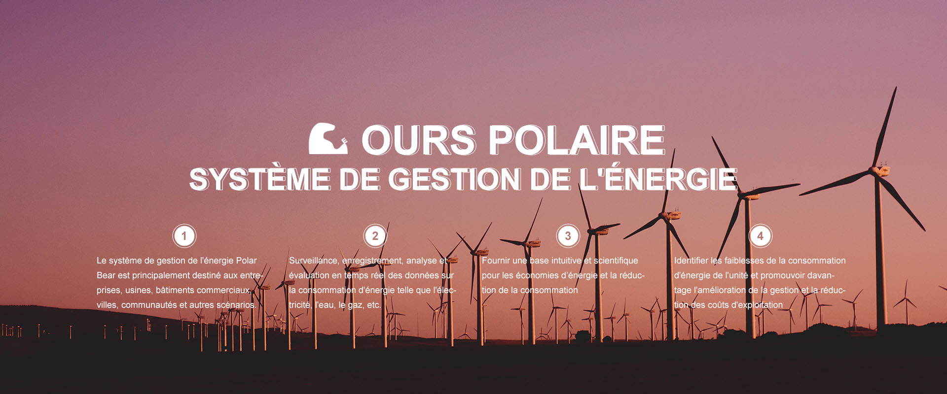 Système de gestion de l'énergie de l'ours polaire
