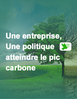Système de pointe de carbone de Canary Enterprise