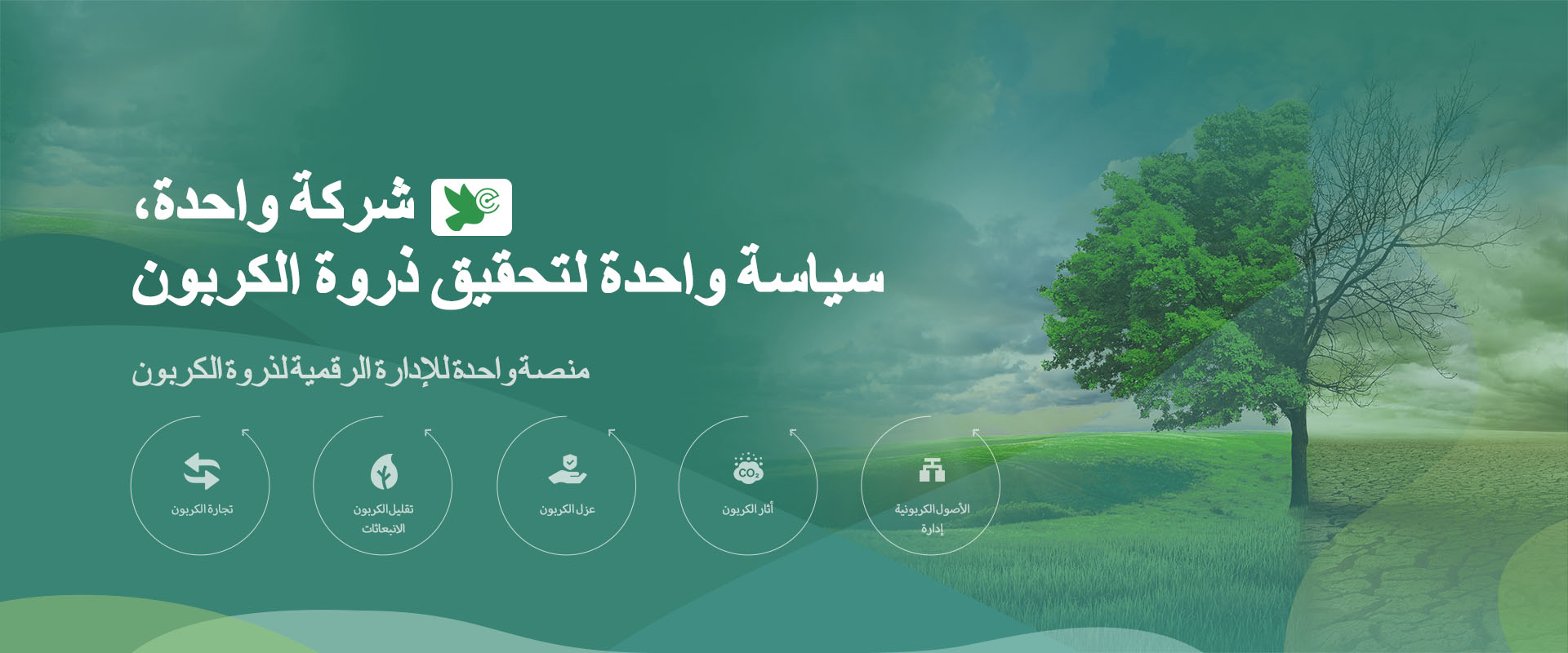 نظام الكناري لذروة الكربون