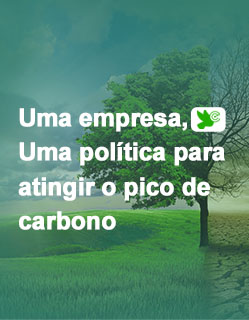 Sistema de pico de carbono Canary Enterprise
