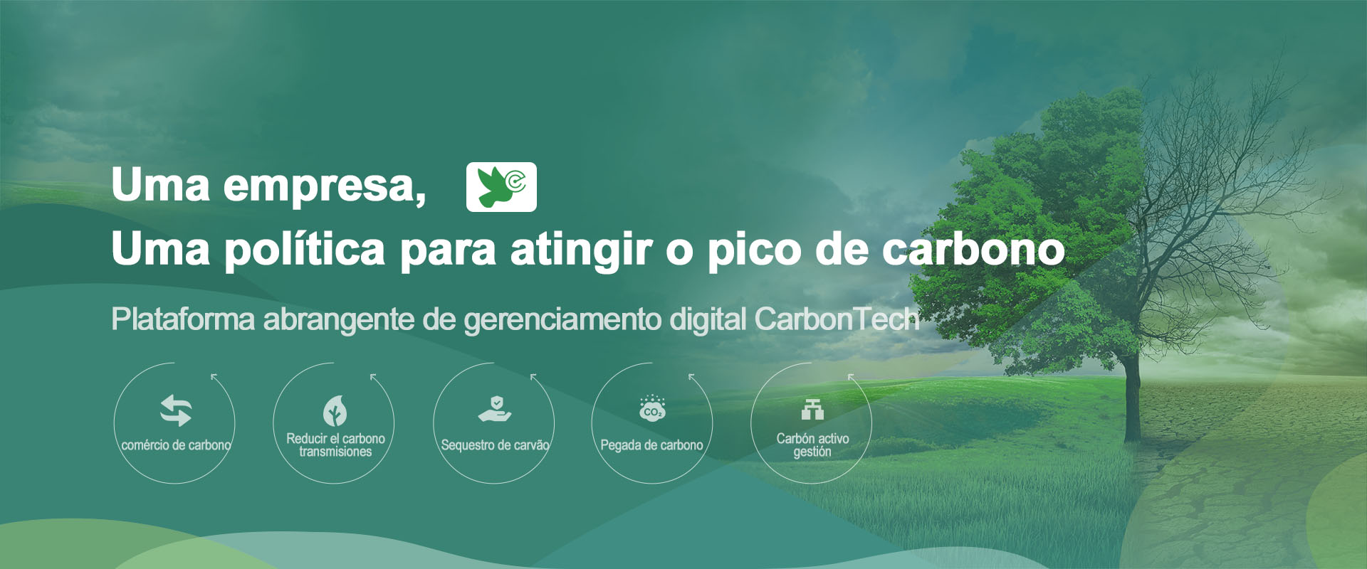 Sistema de pico de carbono Canary Enterprise