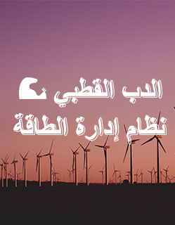 نظام إدارة طاقة الدب القطبي