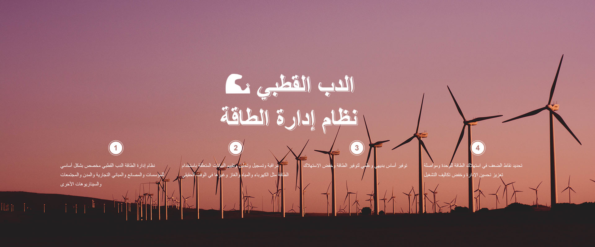 نظام إدارة طاقة الدب القطبي