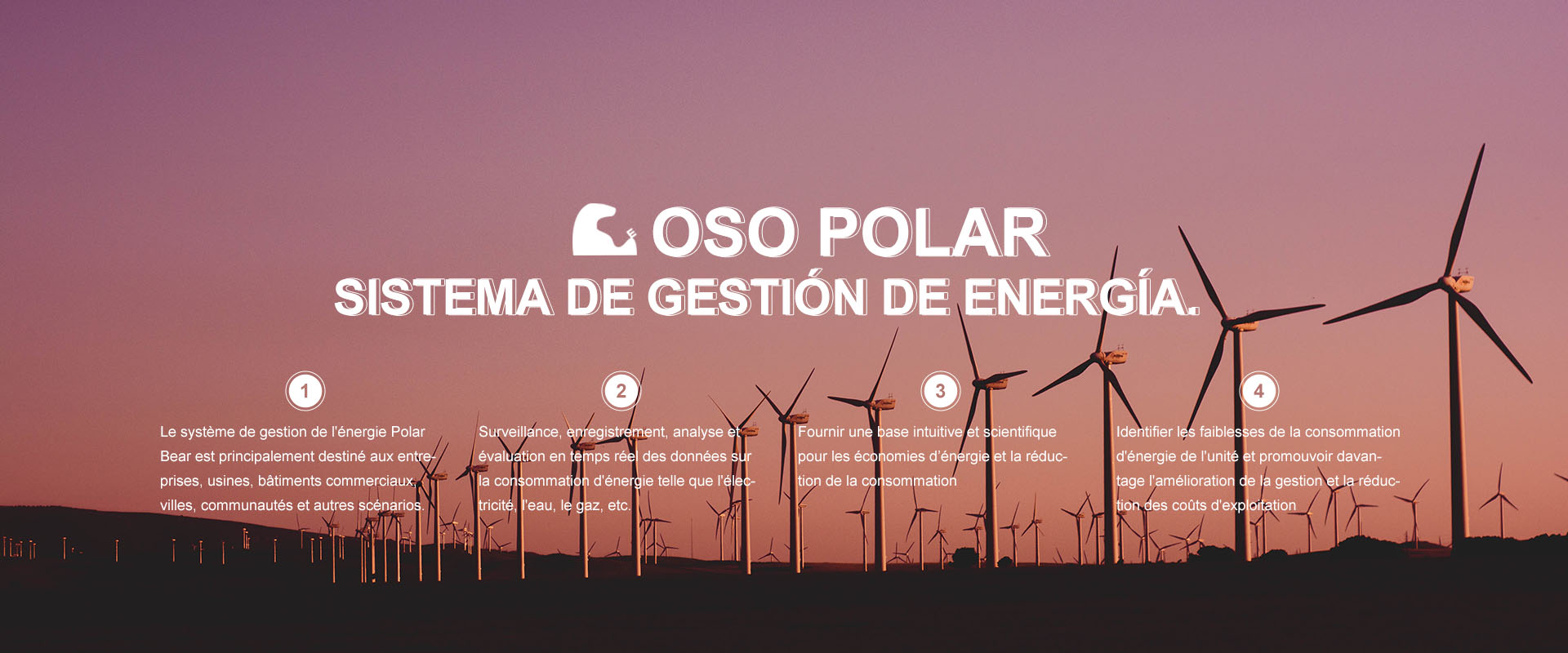 Sistema de gestión de energía del oso polar