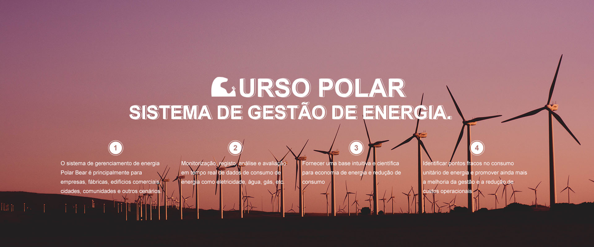 Sistema de gerenciamento de energia do Urso Polar