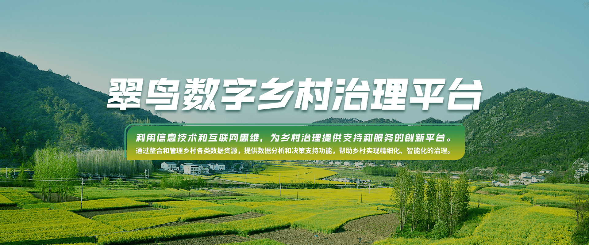 翠鸟数字乡村治理平台