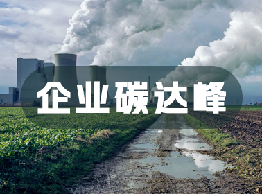 企业碳达峰系统方案