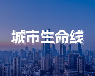 城市生命线方案